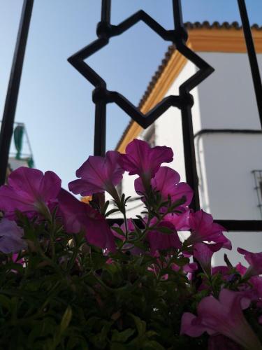 Hotel Boutique La Llave de la Judería, Kordoba (zdjęcie 6)