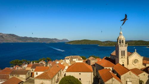 Aminess Korcula Heritage Hotel - image 8
