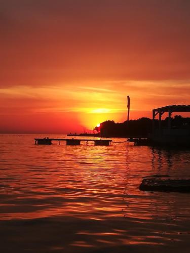Lily Apartments Punta Skala - image 12
