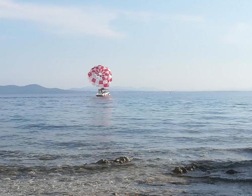 Lily Apartments Punta Skala - main image