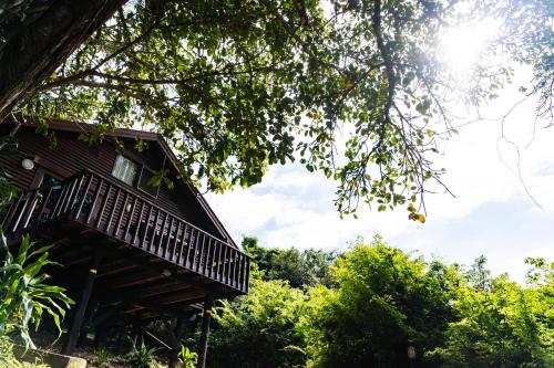 Mtunzini Forest Lodge Self Catering Resort