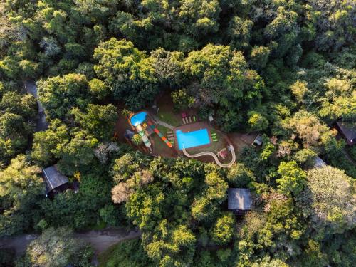 Mtunzini Forest Lodge Self Catering Resort