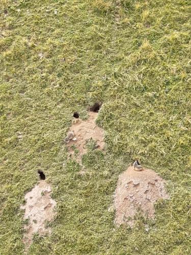 T2 vue piste Résidence Vostok Zodiaque