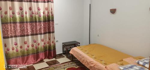 Tut flat, Louxor