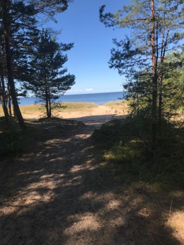 A környék, Mājiņa pie jūras (Majina pie juras) in Zvejniekciems