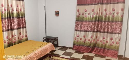 Tut flat, Louxor (photo 6)