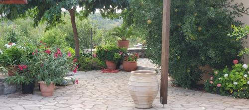 Stone House in a quiet landscape, Leonidion, Leonidion (Leonidio) (foto 2)