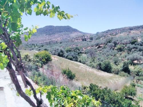  Cortijo Sabar 6 in Alfarnatejo