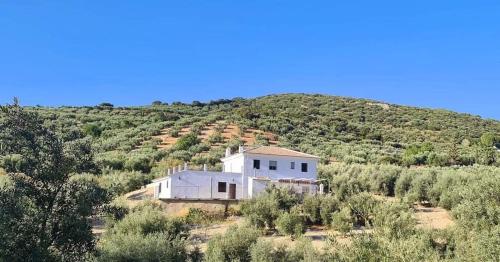  Cortijo La Polilla in Cabra