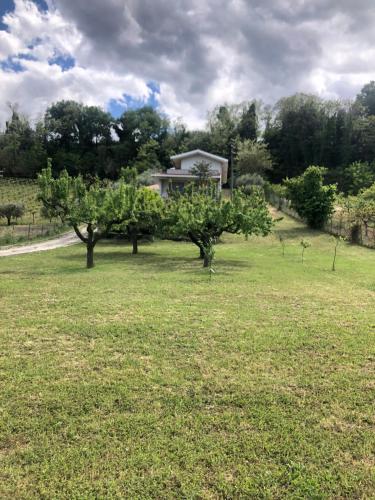 B&B AcquaViva - Treglio