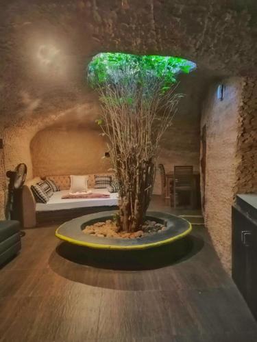 Silver Oaks Nature Retreat