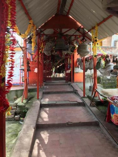 independent cottage/holiday home for rent near Jageshwar dham