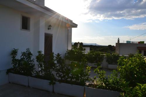 Villa Lorenza