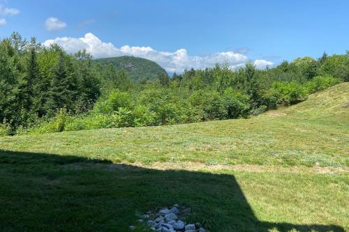 Best Views of Mt Washington - image 12