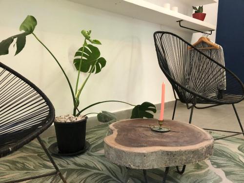 Facilities, Casa Eden - Modern Peaceful Jungle Apartments in Puerto Viejo de Talamanca