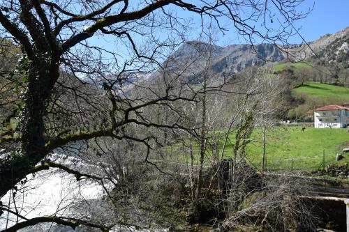 Apkārtne, Viv Tur LA QUINTANA I in Arredondo