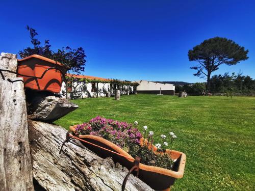  Apartamentos rurales Casa Gorrión - Mazaricos in Sanfoga