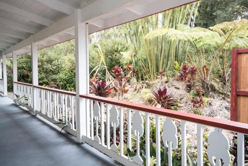 Kilátás, Lokahi Lodge in Volcano (HI)