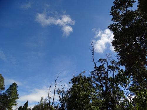 Kert, Lokahi Lodge in Volcano (HI)