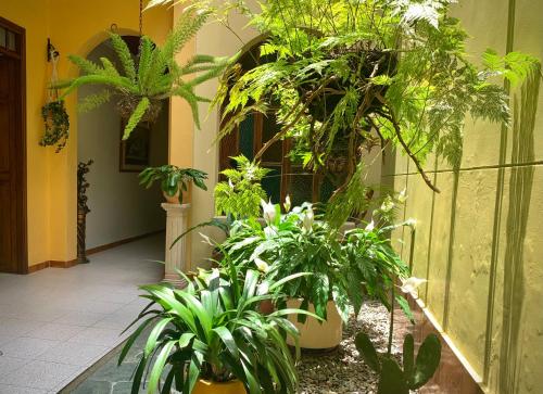 Casa Grande, Medellín (foto 6)
