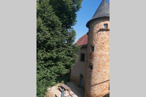 Gîte de charme dans une petite ferme bio gîte à louer Livinhac-le-Bas