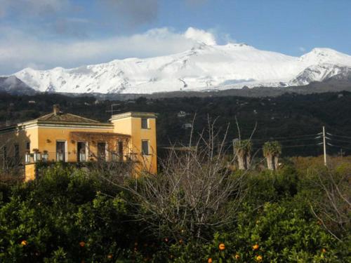 Baglio Delle Rose - Accommodation - Giarre