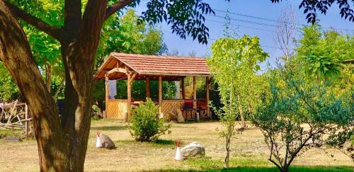 Accommodation in Kromidovo