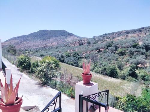  Cortijo Sabar 6 in Alfarnatejo