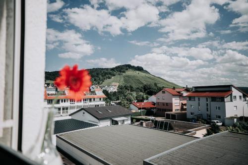 周邊環境, E&B Hotel Korb bei Waiblingen & Stuttgart in 科布