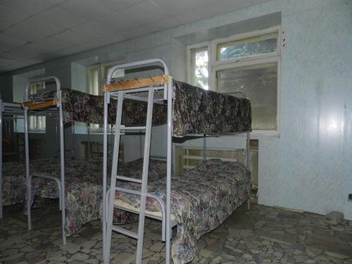 Hostel Sokurskiye Dali - image 8