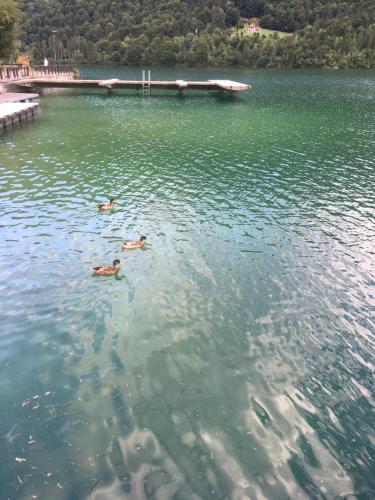 Casa a schiera fronte lago con giardino