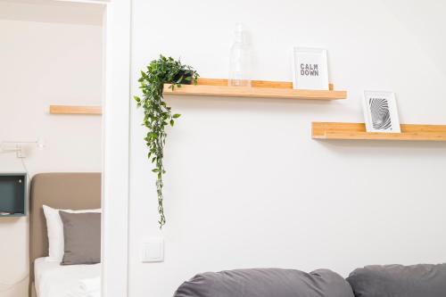 Micro Rooftop Penzing, Vídeň (fotografie 9)