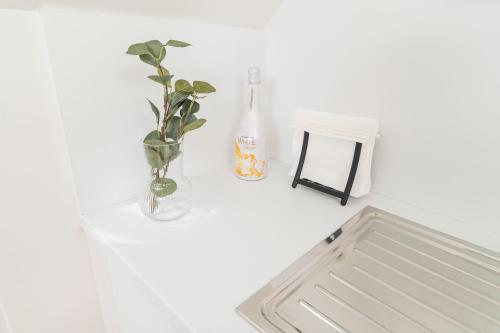 Micro Rooftop Penzing, Vídeň (fotografie 5)