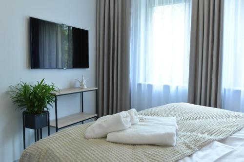 Apartament Prywatny Stone Hill Rackiewicz z basenem, Szklarska Poręba (foto 9)