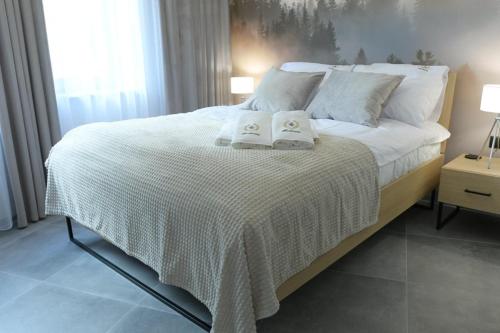 Apartament Prywatny Stone Hill Rackiewicz z basenem, Szklarska Poręba (foto 8)