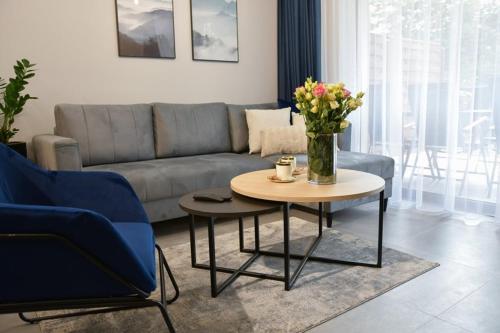Apartament Prywatny Stone Hill Rackiewicz z basenem, Szklarska Poręba (foto 3)