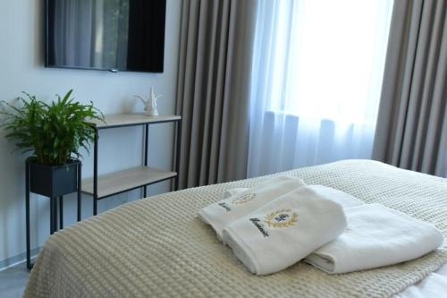 Apartament Prywatny Stone Hill Rackiewicz z basenem, Szklarska Poręba (foto 10)