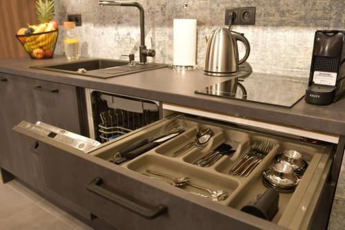 Apartament Prywatny Stone Hill Rackiewicz z basenem, Szklarska Poręba (foto 7)