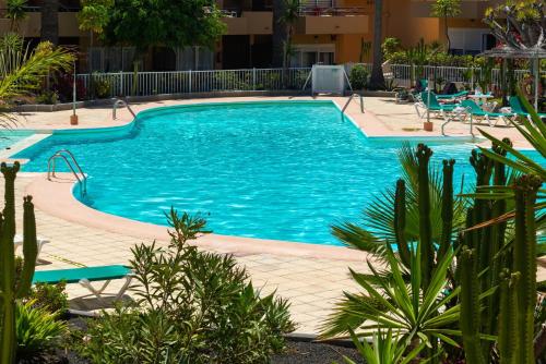 Casa Lucien - Newly refurbished apartment with swimming pool - Ideal for couples