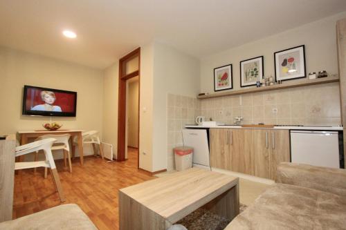 Apartments Železnik - image 11
