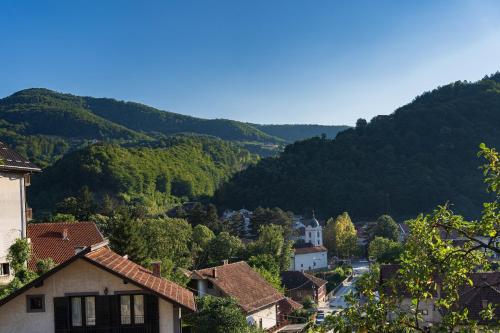 Apartment with Mountain View