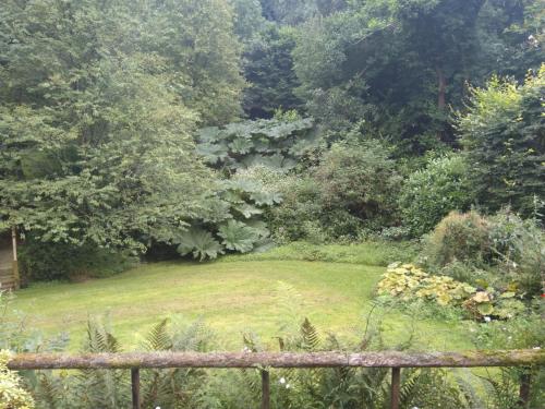 The Woodstore in 鄧克斯韋爾