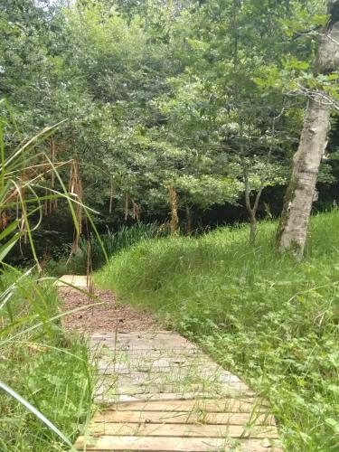 The Woodstore in 鄧克斯韋爾