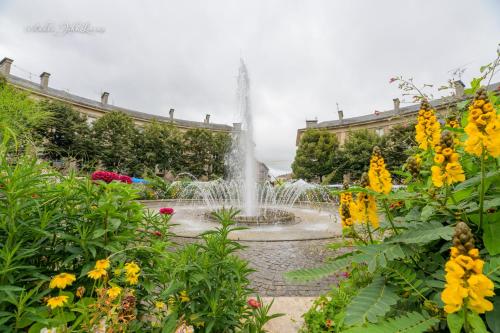 . Agreable et moderne appartement Toul centre