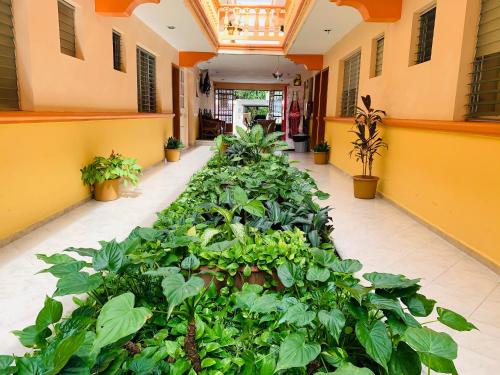 Hotel Isla Esmeralda in Cozumel, Mexico