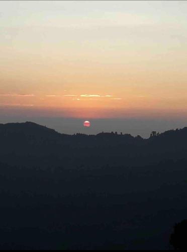 View, B&B Homestay in Hillside