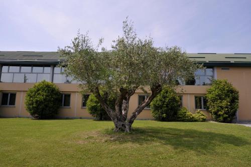 Parco Hotel Sassi - image 14