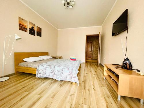 Kremlin Kazan TwoBedroom Apartment - image 7