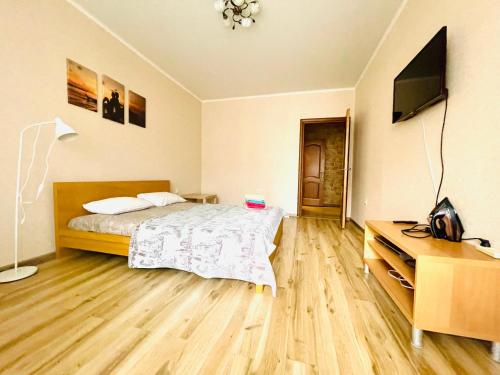 Kremlin Kazan TwoBedroom Apartment - image 3