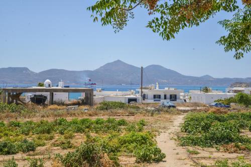 Tzoka's Apartments in เกาะมีลอส